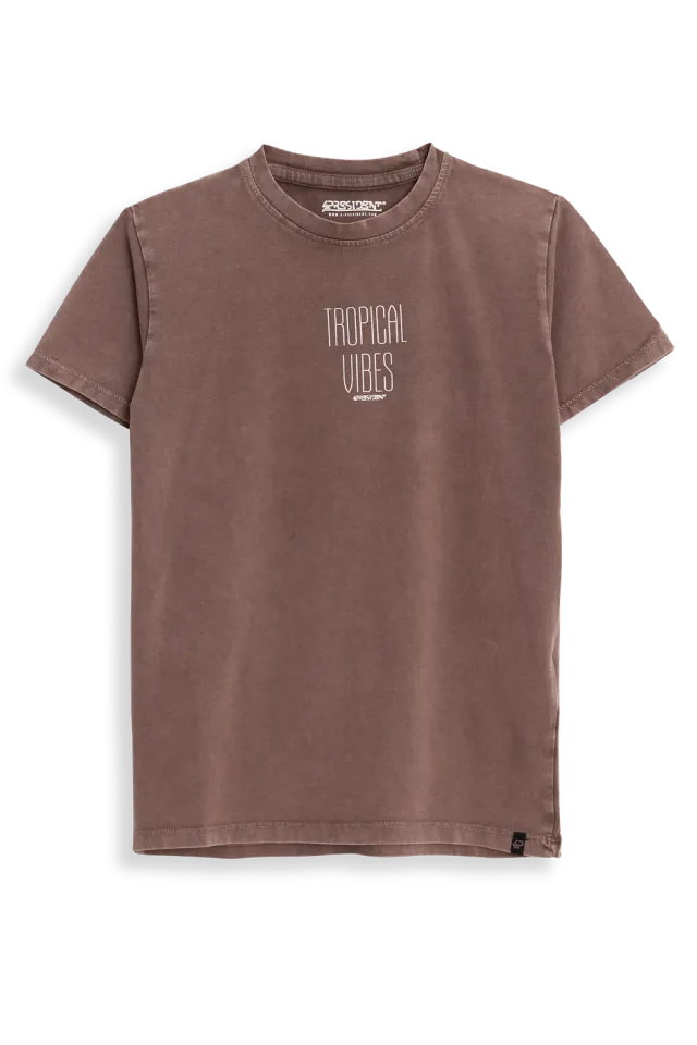 4PRESIDENT Ryan Stone Gray T-shirt korte mouw grijs