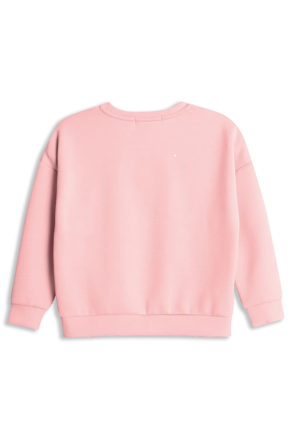 4PRESIDENT Merel hoodie light pink modal geborsteld