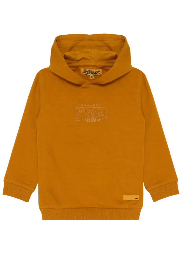 4President Borre hoodie sand bergprint katoen