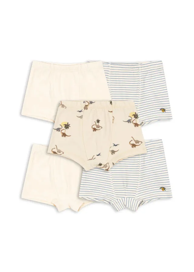 Konges Sløjd Basic 5 pack boxers boy mix biokatoen