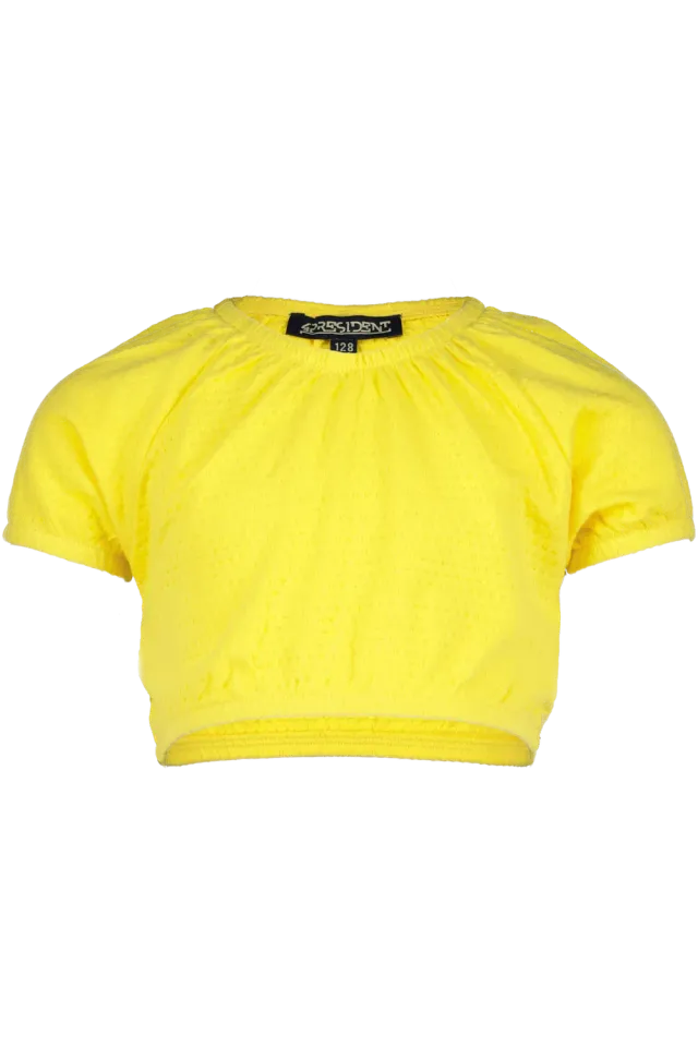 4PRESIDENT Lesly Yellow Crop Top geel borduursel